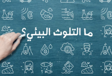 التلوث البيئي